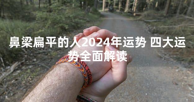 鼻梁扁平的人2024年运势 四大运势全面解读